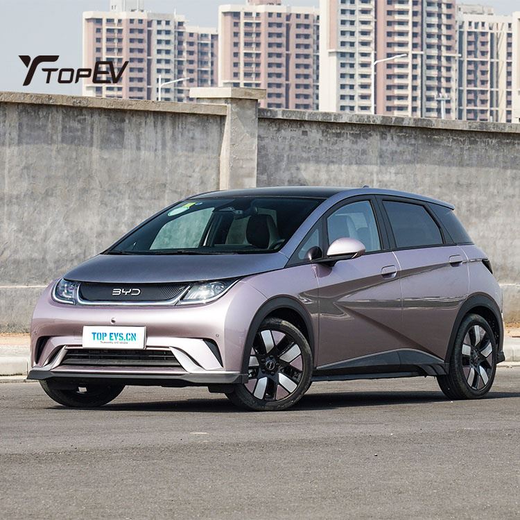 2025 BYD Dolphin 420KM China Electric Auto